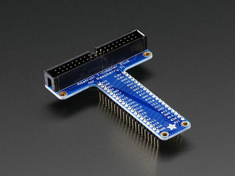 RASP3