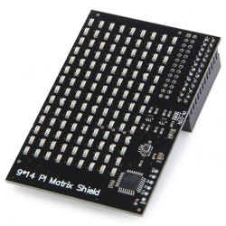RASP6