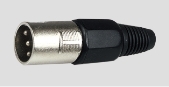 SP291